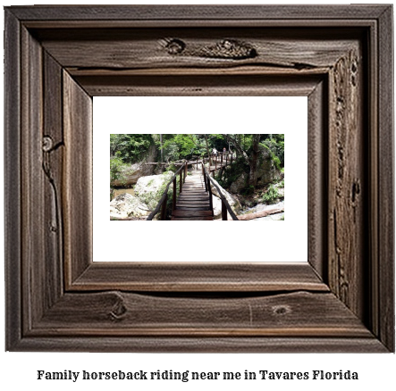 family horseback riding near me in Tavares, Florida